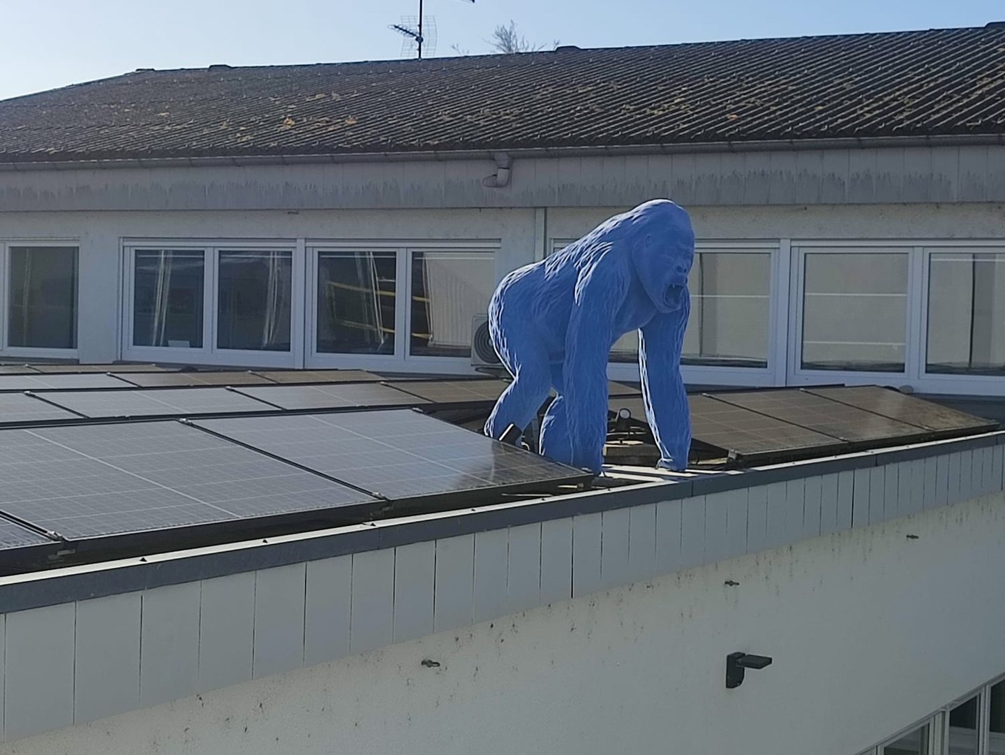 Lara hat diese Woche ein spannendes Praktikum bei WILD absolviert und dabei viele wertvolle Eindrücke gesammelt. Von ersten Einblicken in die Arbeitsabläufe bis hin zum Kennenlernen des Teams – es war eine Woche voller neuer Erfahrungen, Inspiration und spannender Momente.
Danke für dein Engagement, Lara! Wir freuen uns, dass du Teil unserer Woche warst. 💙
Lara completed an exciting internship at WILD this week and gained many valuable insights. From first glimpses into the workflows to getting to know the team – it was a week full of new experiences, inspiration, and exciting moments. Thank you for your commitment, Lara! We are glad that you were part of our week. 💙
Lara ezen a héten egy izgalmas gyakorlatot végzett a WILD-nál, és sok értékes tapasztalatot szerzett. Az első betekintésektől a munkafolyamatokba a csapat megismeréséig – egy hét volt tele új élményekkel, inspirációval és izgalmas pillanatokkal. Köszönjük az elkötelezettségedet, Lara! Örülünk, hogy része voltál a hetünknek. 💙
#Praktikum #WILD #Teamwork #Einblicke